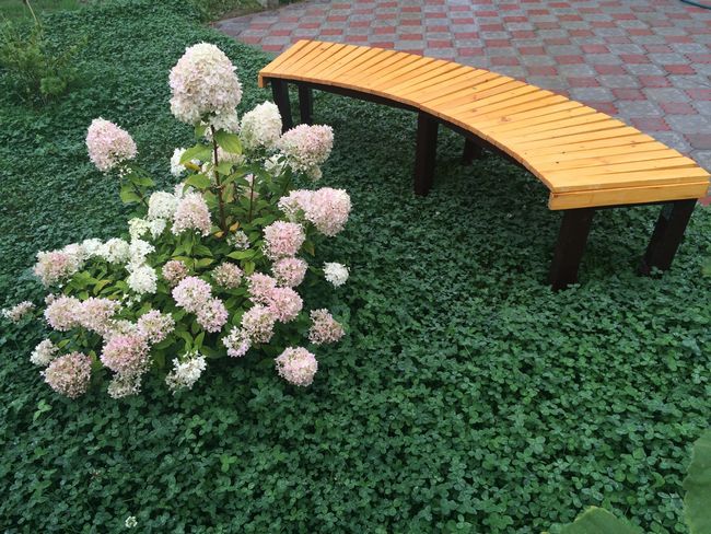 DIY Garden Bench for home