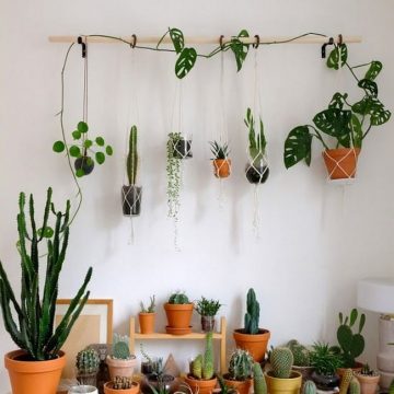DIY Hanging Plants Wall
