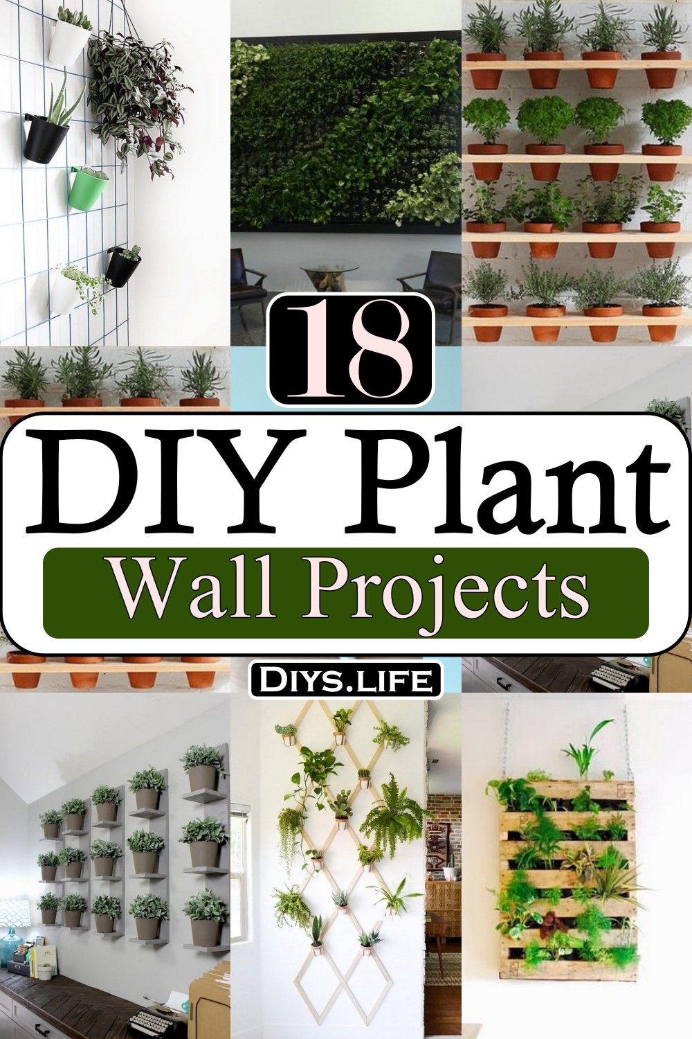 DIY Plant Wall Projects 