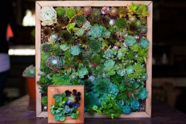 Stylish Vertical Garden For Wall