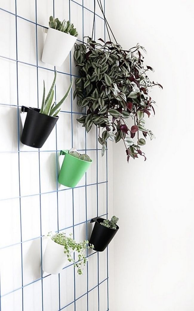 DIY Plant Wall Hanging