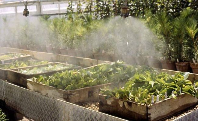 How To Make A DIY Misting System For Greenhouse