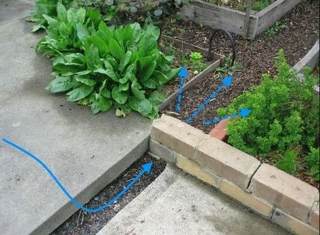 How To DIY French Drain