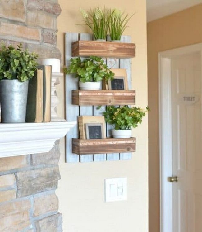 Mini Plant Basket On Wooden Shelf