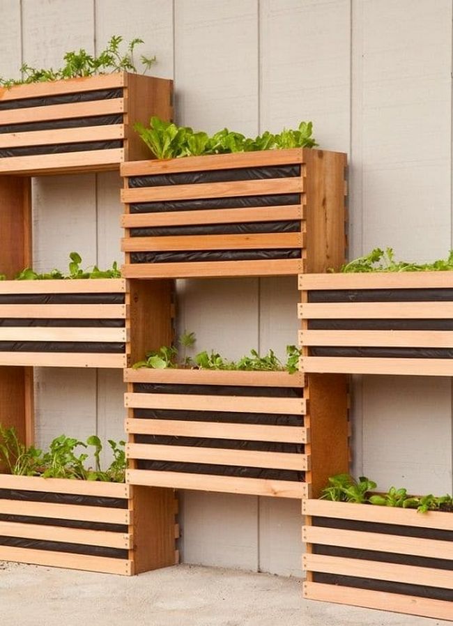 Modern Vertical Vegetable Garden