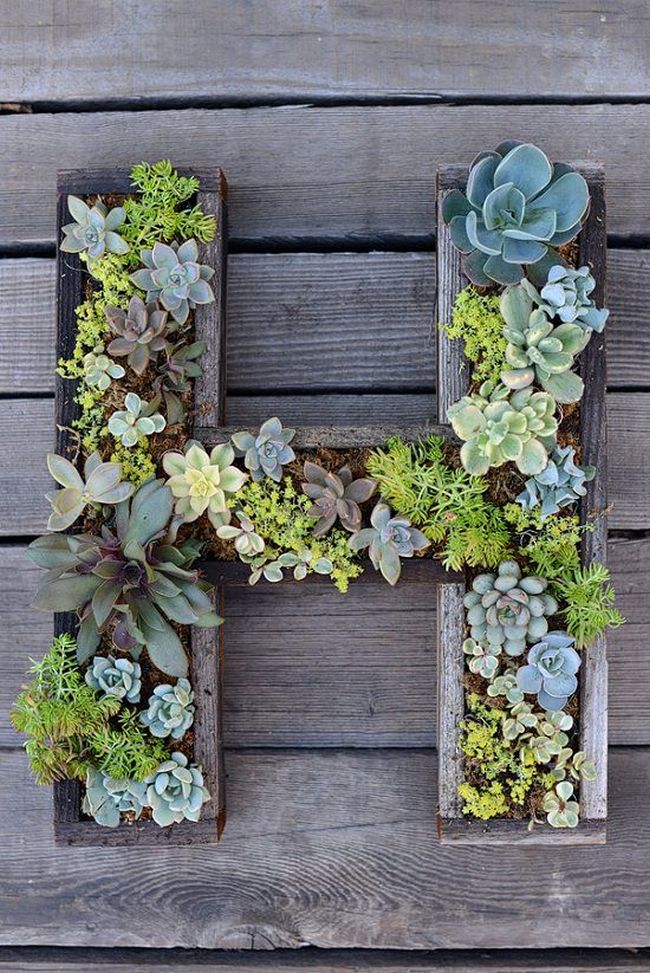 How To Build A Wall Mount For Plants