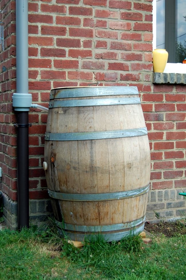 Rain water collection System With Wine Barrel