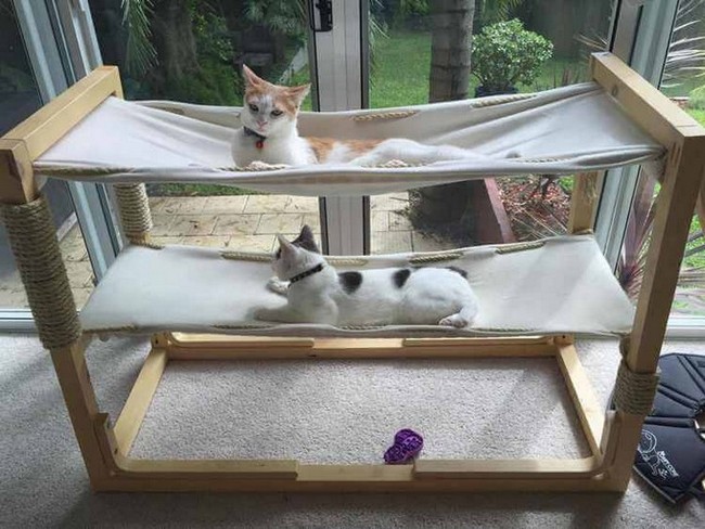 Build Bunk Bed Hammock For Cats