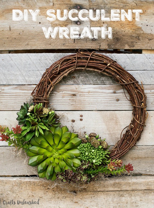 Beautiful Growing Succulents On Wreath