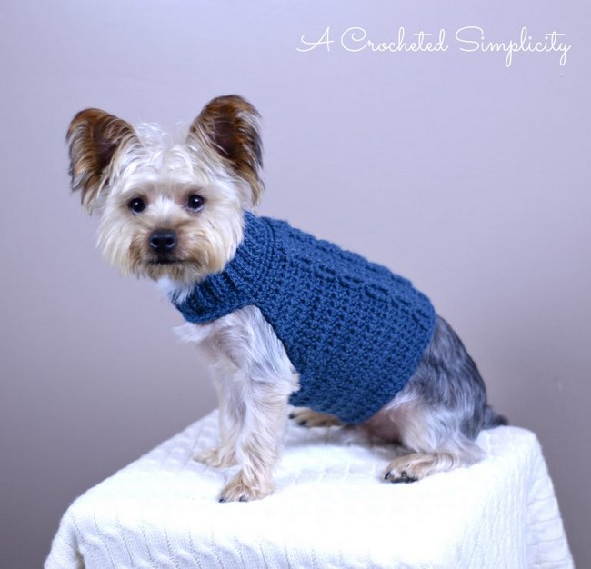 canine Sweater Pattern
