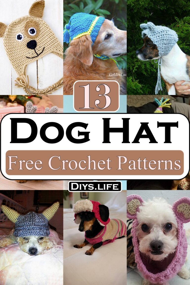 15 Crochet Dog Hat Patterns For Beginners DIYS