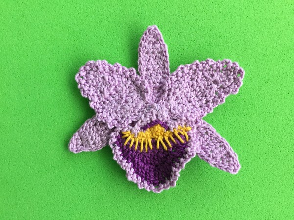Crochet Orchid Petals