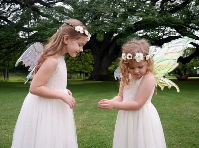 DIY Fairy Wings With Cellophane