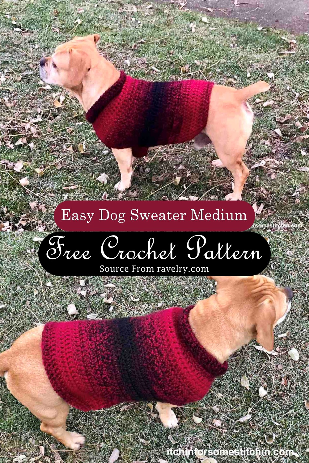 Crochet Dog Sweater Pattern For Medium Dogs