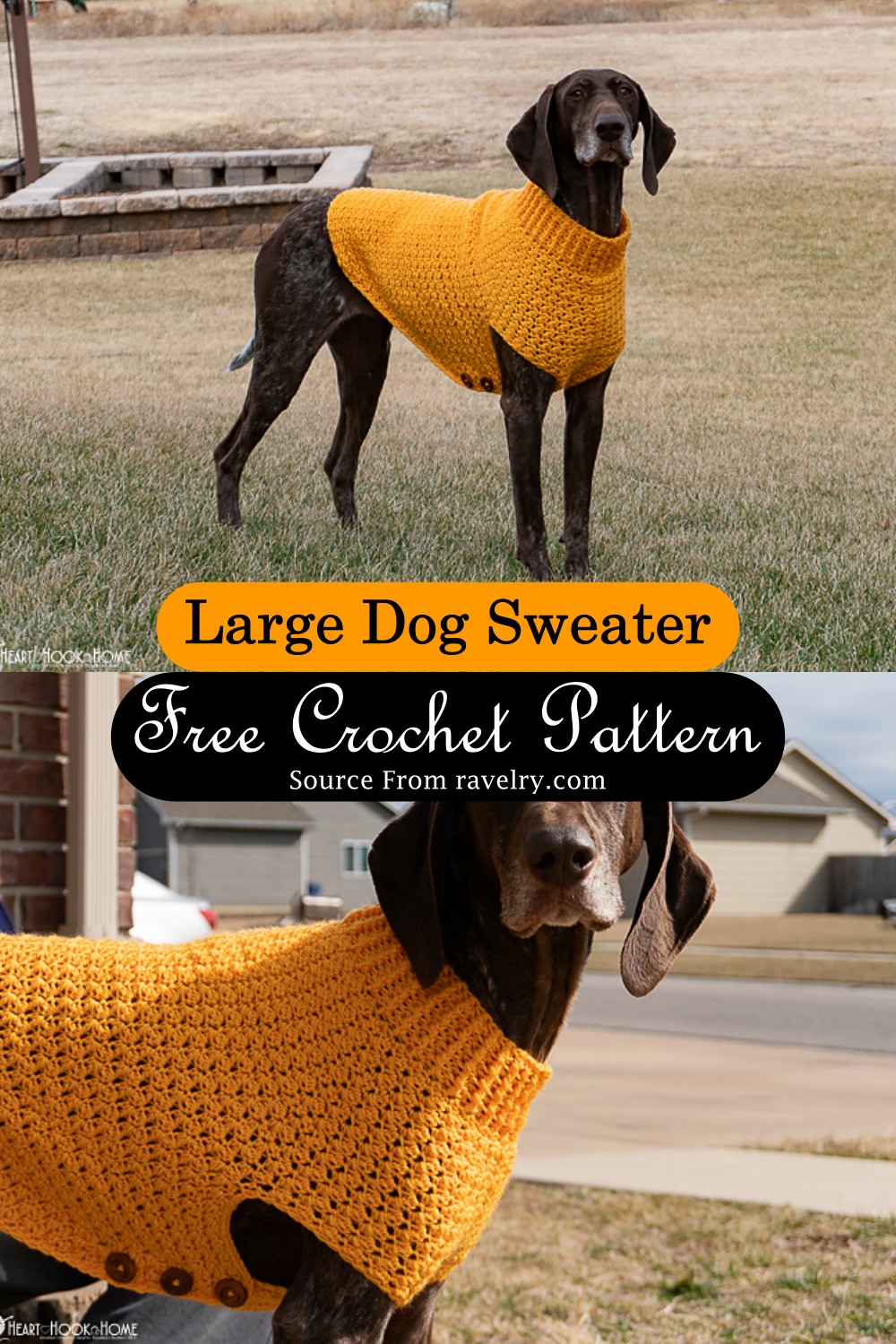 Free Crochet Dog Sweater Patterns For Large Dogs