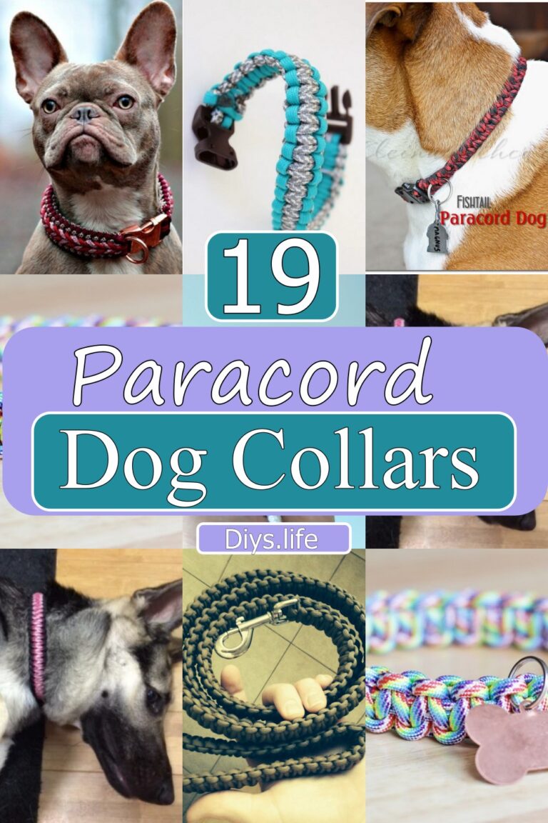 19 Paracord Dog Collar Patterns For Pup Owners - DIYS