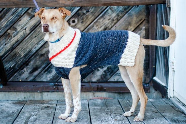 How To Crochet A Dog Sweater