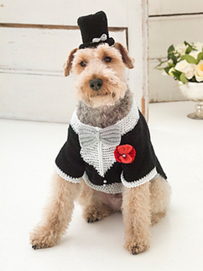 The Barking Groom Tuxedo And Top Hat