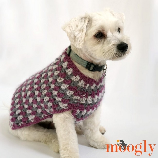 Small Dog Sweater Crochet Pattern Free