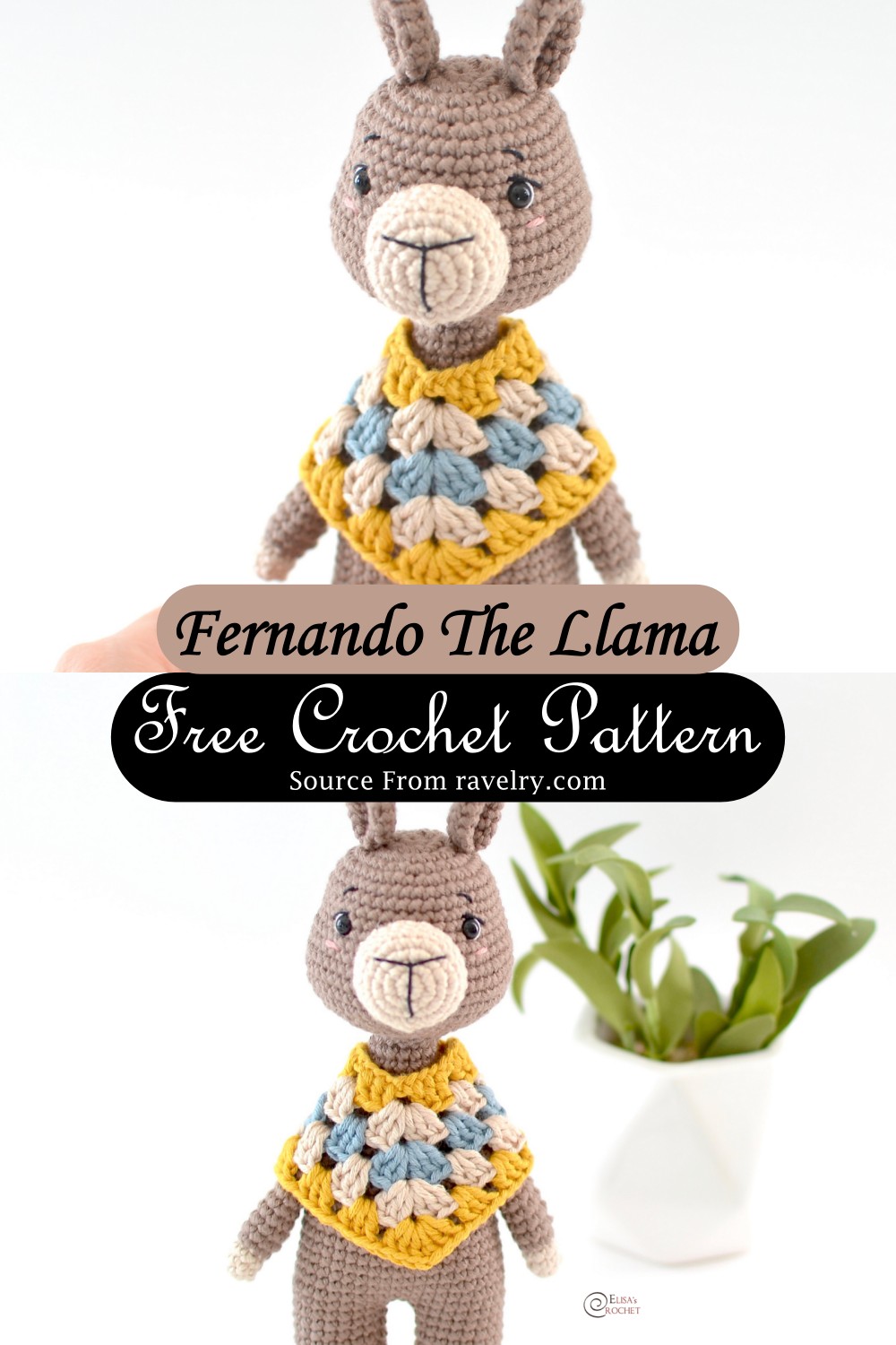 Fernando The Llama