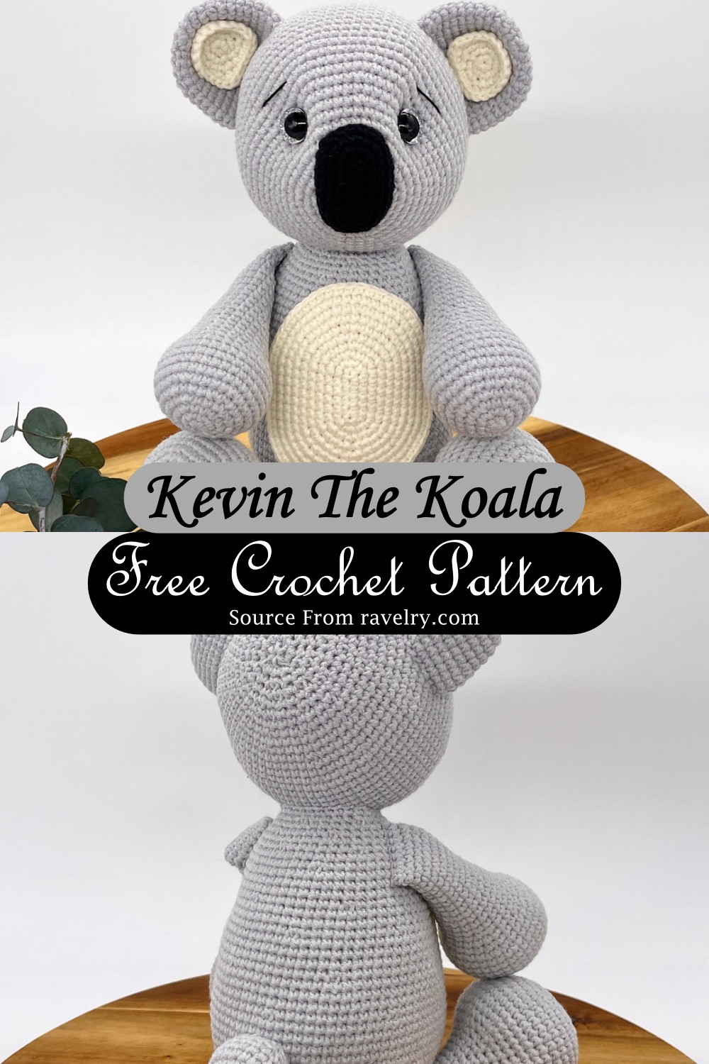 Kevin The Koala