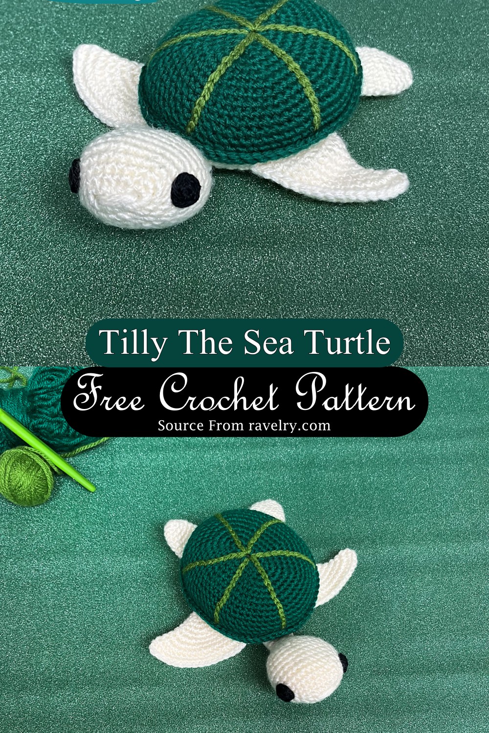 Tilly The Sea Turtle