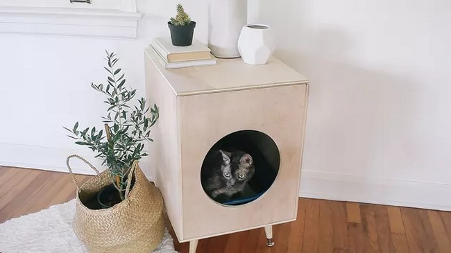 Modern Homemade DIY Cat Litter Box