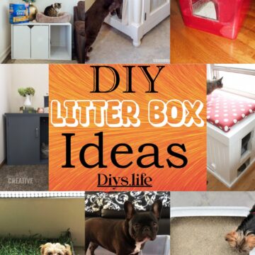 DIY litter Box Ideas
