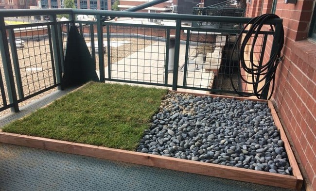 Easy Build Balcony canine Potty Areas With Real Grass