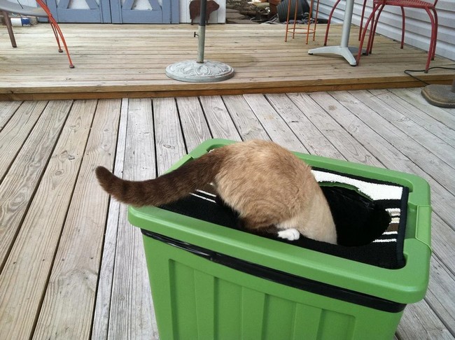 DIY Cat Litter Box Storage Bin