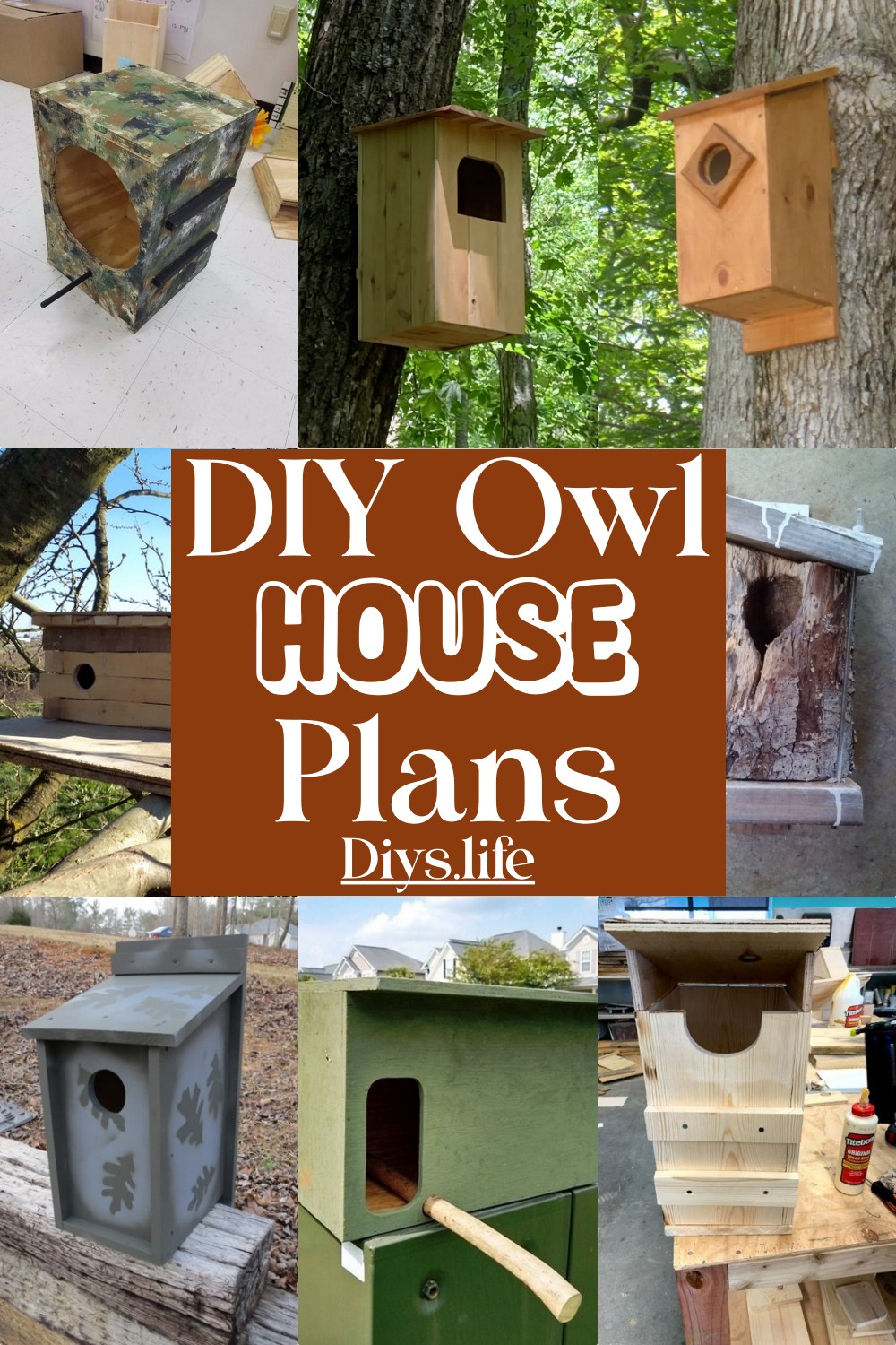 DIY Owl House  