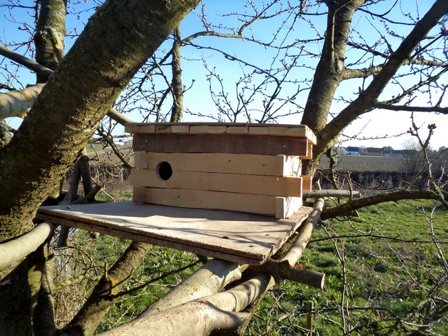 Nest Box For Little Owl