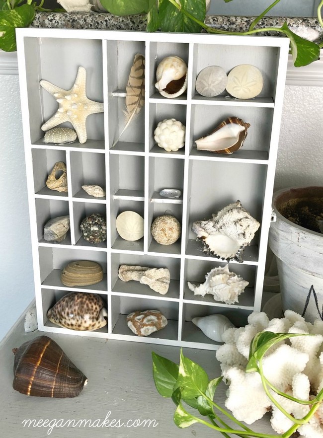 DIY Shell Shadow Box Made With a Thrifted Find