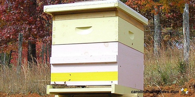Beehive Plans for Hive Construction