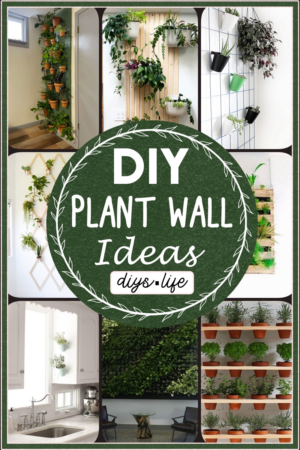 DIY Plant Wall Ideas