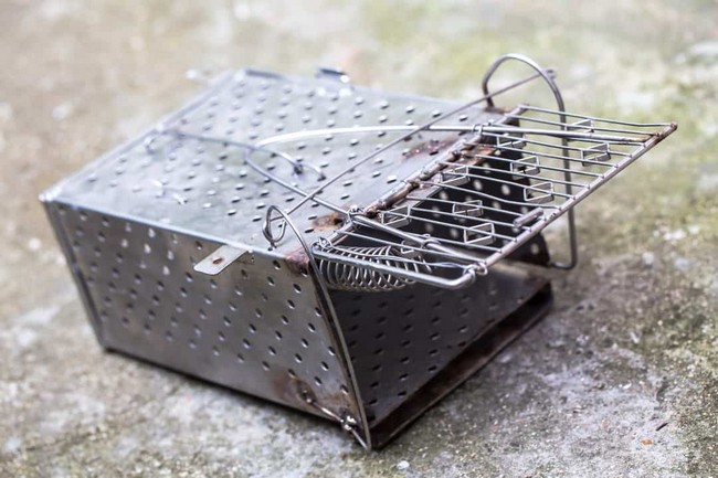 DIY Mouse Trap To Keep Mice Out Of Your Yard