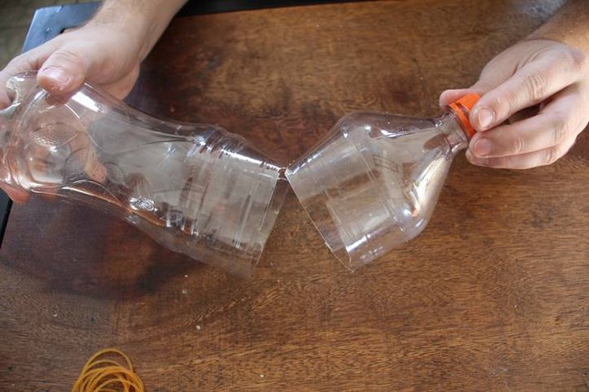 Make A Simple Bottle Mousetrap