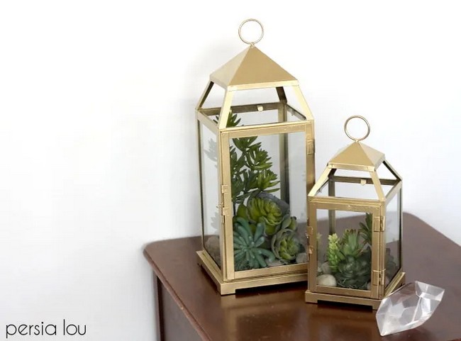 DIY Lantern Terrarium