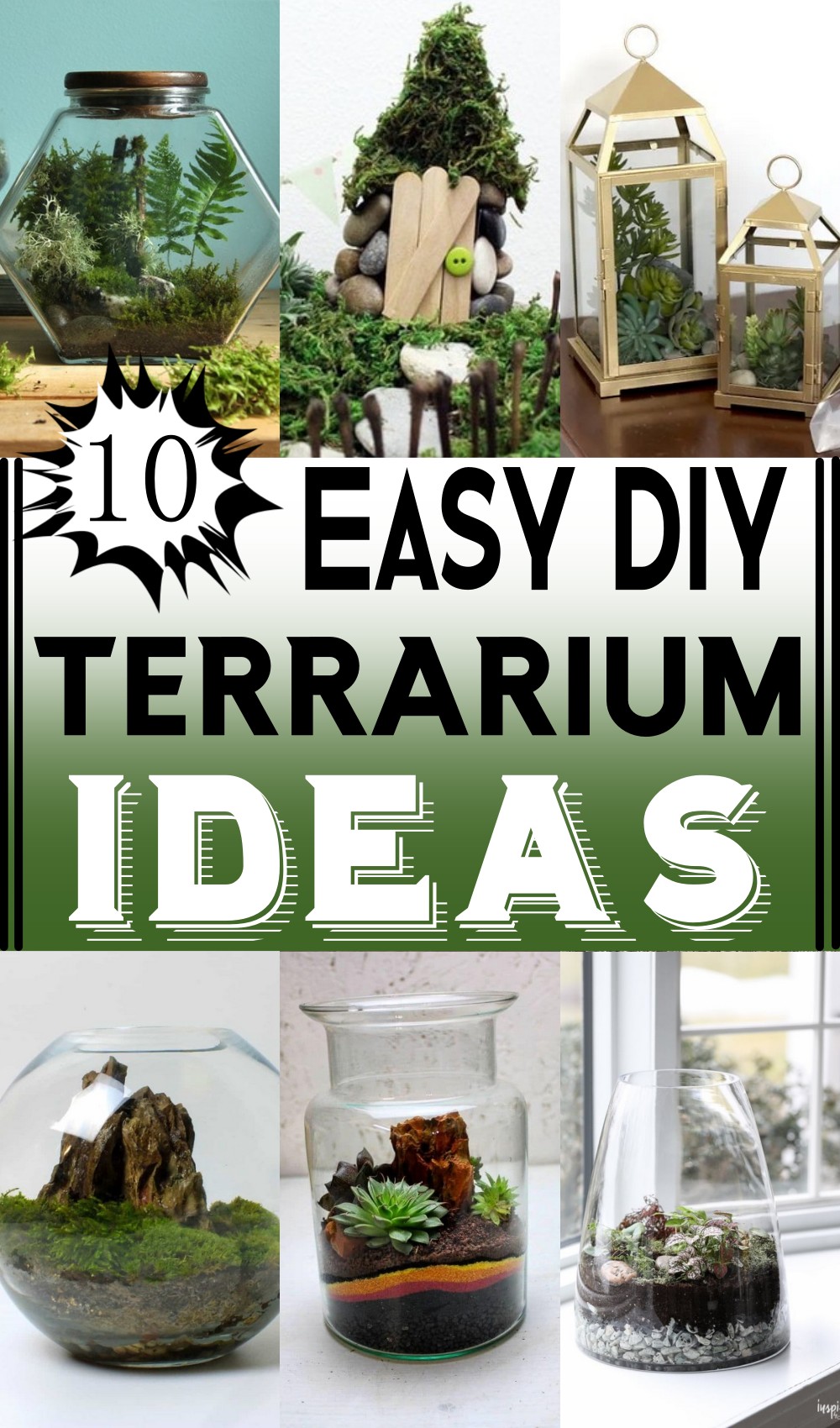 DIY Terrarium Ideas
