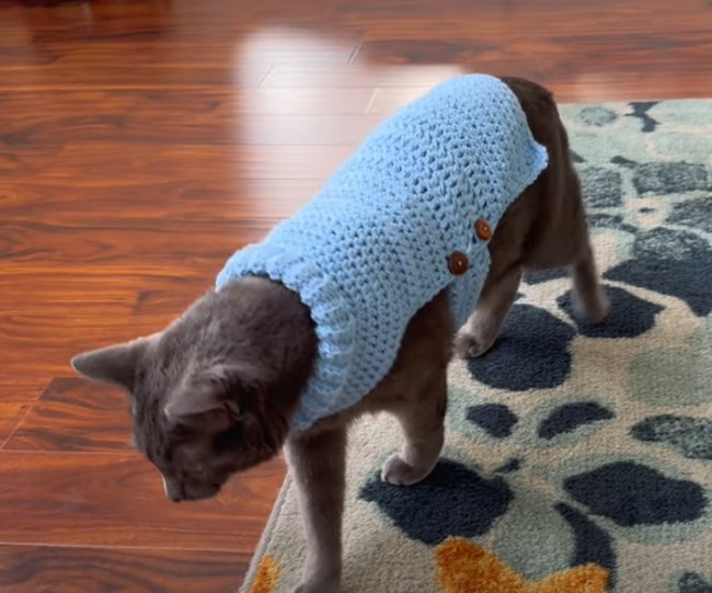 Crochet Cat & Dog Sweater